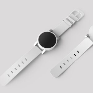 Classic Brushed 31mm